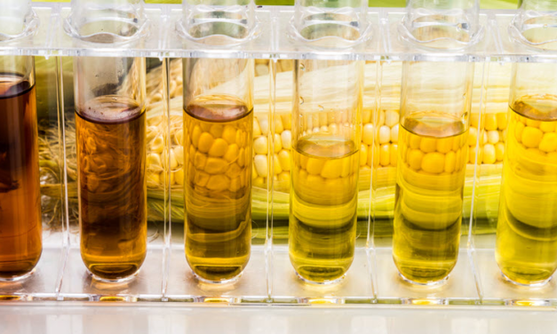 Iowa Ethanol Production Stagnant Over Three Years