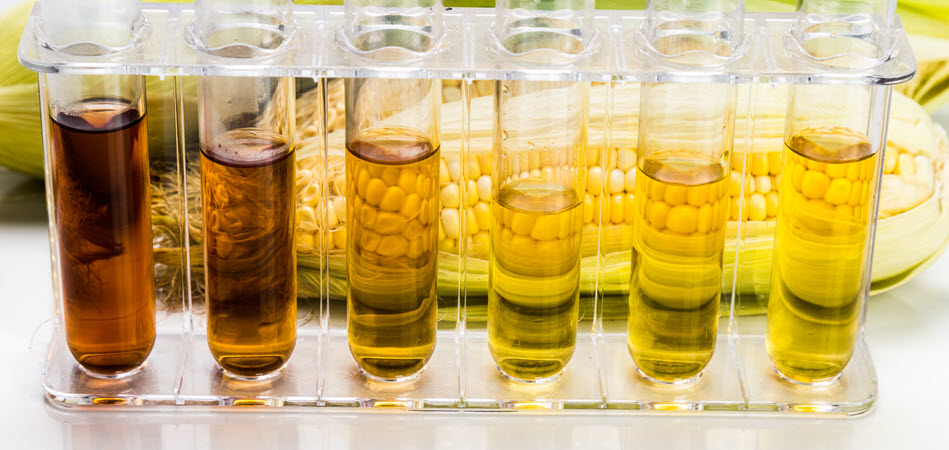 Iowa Ethanol Production Stagnant Over Three Years