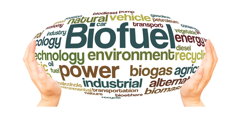 Clean Fuels Asks EPA to Maintain RFS Compliance Deadline
